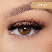 MagLash™ | Deine Revolution für traumhafte Wimpern